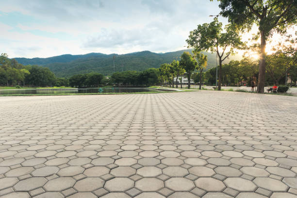 Best Permeable Paver Driveway  in Beach Haven West, NJ